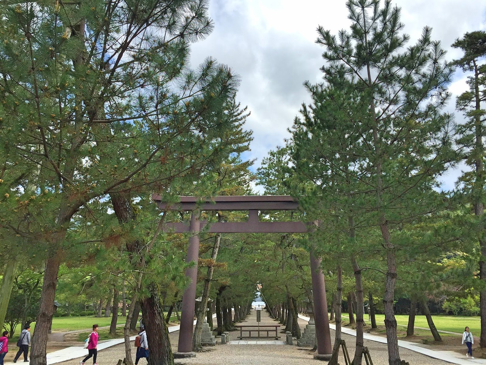 ⛩️ 세이다마리노 오오토리이 이미지 4